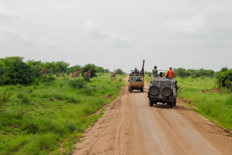 Serengeti 6