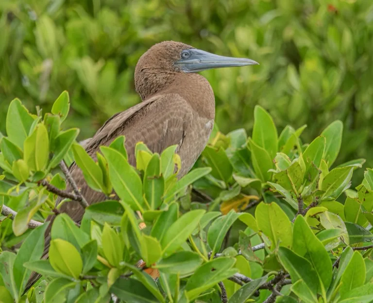 Sian Ka'an Biosphere Reserve