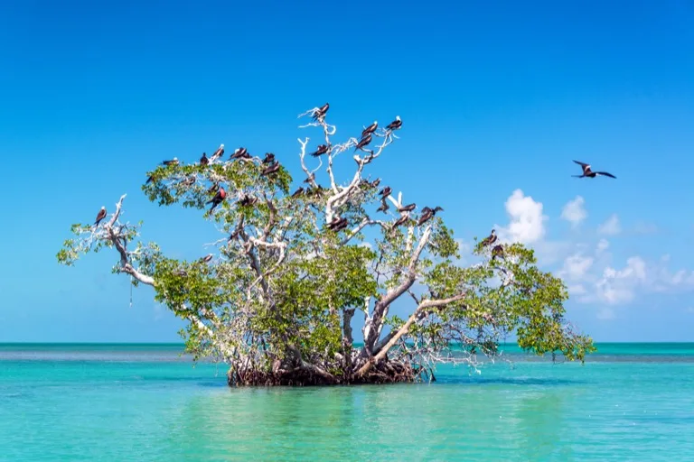 Sian Ka'an Biosphere Reserve 2