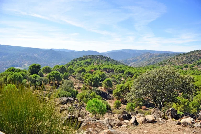 Sierra de Andujar 4