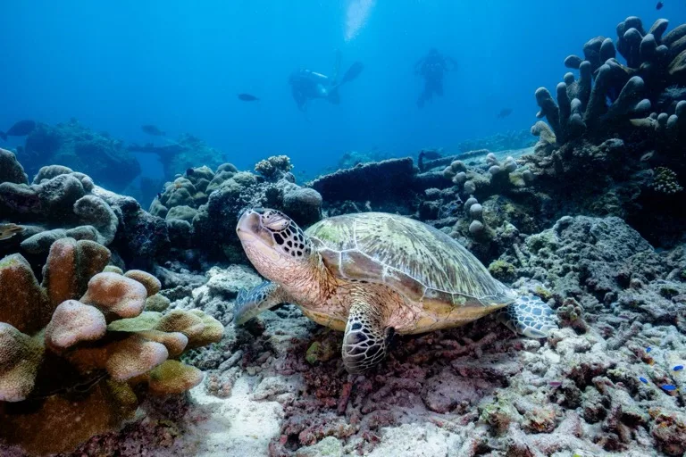 Sipadan Island Park