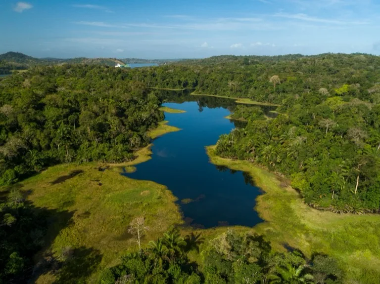 Soberania National Park / Pipeline Road 3
