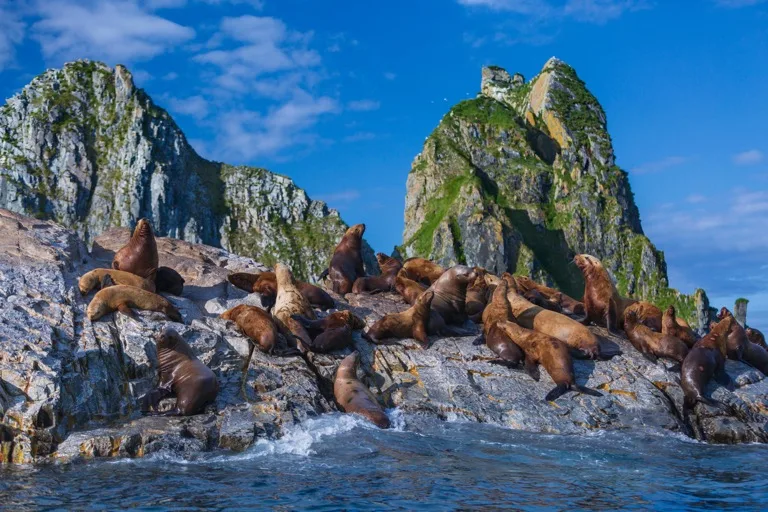 South Kamchatka Sanctuary 1