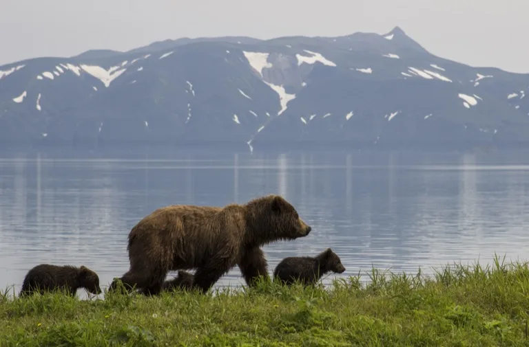South Kamchatka Sanctuary