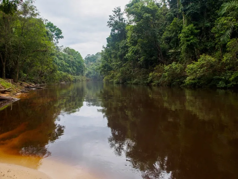 Taman Negara National Park 6