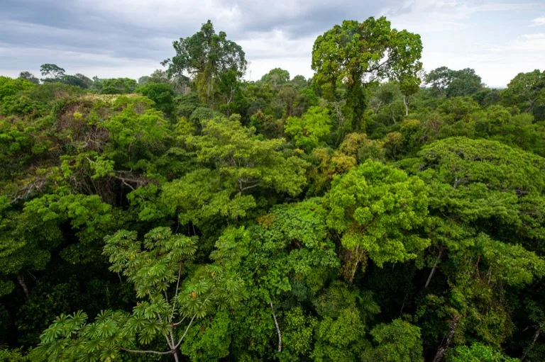 Tambopata National Reserve 8