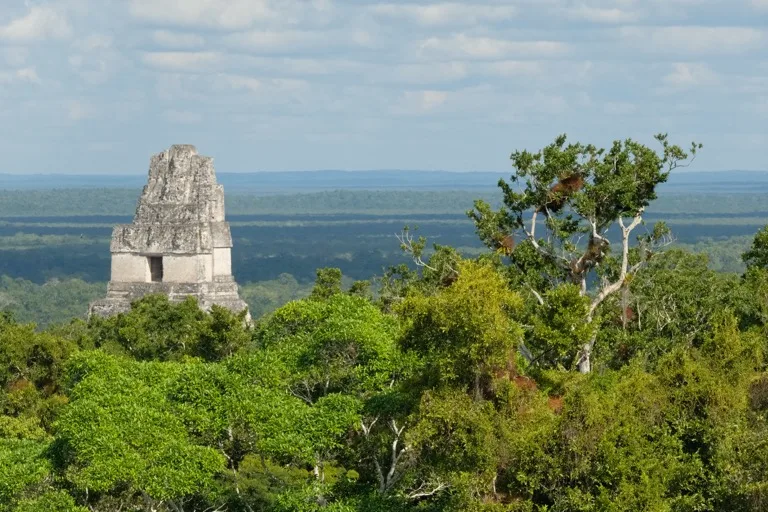 Tikal National Park 2
