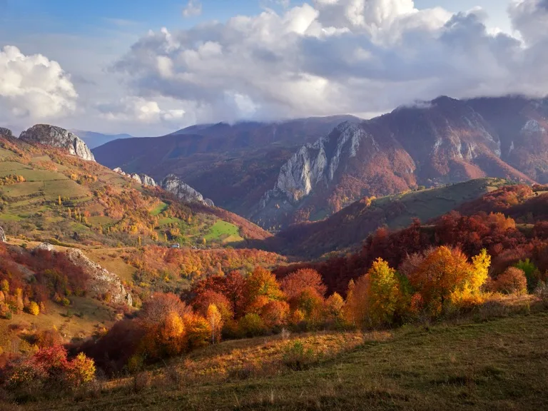 Carpathian Bear and Wolf Regions / Transylvania 4