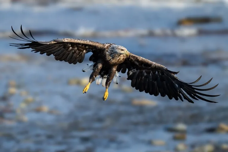 Varanger Peninsula / Hornoya 1