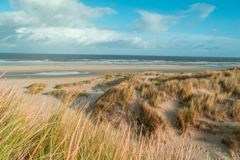 Wadden Sea National Park 4