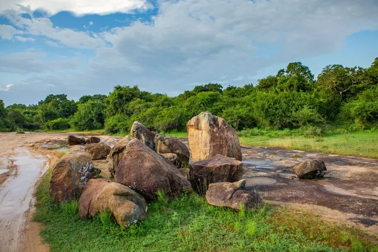 Yala National Park 4
