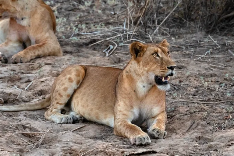 Zakouma National Park 4